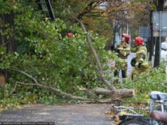 Silna burza w Warszawie. Wiatr spowodował szkody