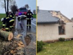 Powalone drzewa, nadłamane konary. Pracowite święta strażaków