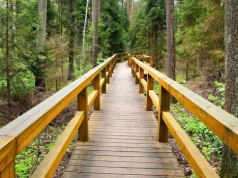 Królewska legenda wciąż żywa. Wyjątkowe miejsce między Lublinem a Warszawą. Więcej niż spacer