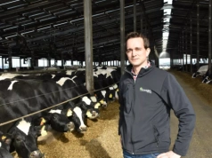 Holender przejął PGR w Polsce. Dziś ma 1400 krów