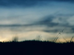 Uwaga na silny wiatr! A na południu ostrzeżenie przed przymrozkami