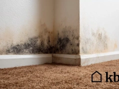 Wiosną koniecznie sprawdź ten element domu. Wilgoć niszczy go po cichu