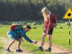 Powyżej 7 stopni Celsjusza robi się ryzykownie. Te małe pajęczaki już atakują