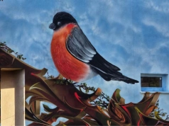 Nowy mural w Siedlcach. Gil ozdobił budynek przy ul. Mieszka