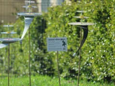 W Lublinie powstał Ogród Winylowy. „Czy to ma sens? Nie wiem. Ale ma miejsce”