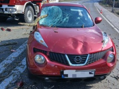 Drzewo spadło na jadące auto! Część gałęzi wbiła się w pojazd