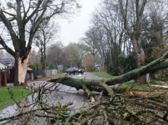 Wieje, i wciąż będzie wiało. Synoptycy wydali ostrzeżenie na najbliższy dzień i noc
