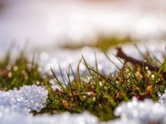 Przyjdzie nagły mróz, a potem fala gorąca. Wskazano datę, synoptycy już wiedzą