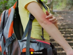 Choroby tropikalne coraz bliżej Europy. Ekspert ostrzega przed nowymi zagrożeniami