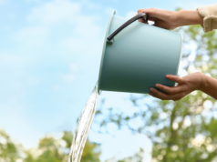 Absolutnie tego nie rób w Śmigus-Dyngus! To przynosi pecha!