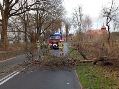 Wiatr się rozhulał - strażacy w Zachodniopomorskiem interweniowali prawie 100 razy