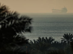 Tykająca bomba w Zatoce Perskiej. Jak wojna w Iranie zagraża zwierzętom i środowisku?