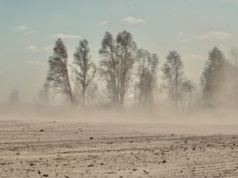 Burza pyłowa między Choczewem a Lubiatowem. Widoczność spadła do zera