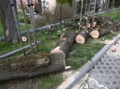 Straż Pożarna: ponad 2000 interwencji strażaków w związku z silnym wiatrem