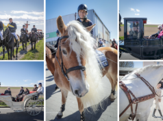 Wielkanocny objazd pól w powiecie raciborskim