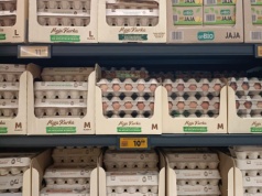 Rewolucja na rynku jaj. Miliony kur znikają z klatek