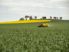 Ekspozycja na pestycydy zwiększa ryzyko raka nawet o 150% – wyniki nowego badania