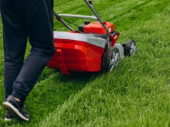 Chwyciłam za kosiarkę za wcześnie. Trawnik odchorowywał to miesiącami