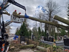 Silny wiatr dał się we znaki