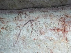 Rysunki naskalne zdradziły prawdę o australijskim ssaku. Zamieszkiwał kontynent tysiące lat dłużej