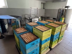 59 mln zł dla pszczelarzy – ARiMR rozpatrzyła wszystkie wnioski złożone w październikowo-listopadowym naborze