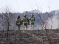 Lublin. Dziwny pożar zielonych płuc miasta