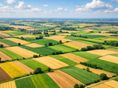 Gleby się wyczerpują. Naukowcy szukają ratunku w „granulatach życia”