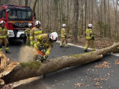 Ponad 300 interwencji strażaków w związku z wichurą na Pomorzu