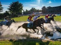 Wyścigi konne wracają na Partynice