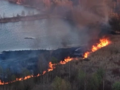 Pożar w Żabich Dołach. Ogień objął 3 tys. m. Świadkowie mówią o podpaleniu