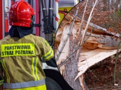 Potężne wichury nad Polską. Tysiące interwencji strażaków