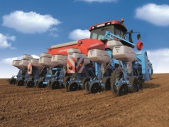 Jeden błąd przed siewem kukurydzy i strata rośnie. Na 1 ha to nawet 280 zł