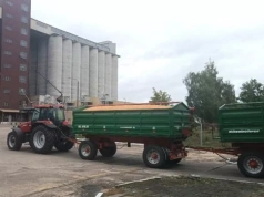 Pszenica w górę. Sprawdzamy ceny zbóż i rzepaku w Polsce