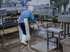 Inspekcja pracy chce zmian w BHP dla nieetatowców