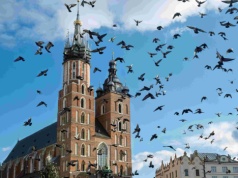 Opublikowano „Czarną Księgę 2026”. Kraków nie zawiódł. Jest też były marszałek