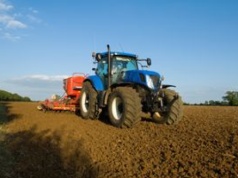 Emerytura dla rolnika. Tyle wynosi dla osób z 30‑letnim stażem