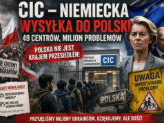 CIC‑y w Polsce – czy nam już całkiem odbiło?