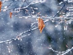 W środę znów może padać śnieg
