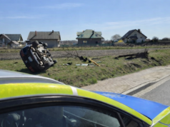 Dwa zatrzymania w 24 godziny. Kierujący Mustangiem dachował podczas ucieczki przed policją. Miał blisko 3 promile