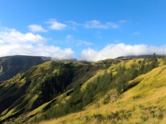 Od wulkanu do "Frankensteina". Paradoks "roku bez lata"