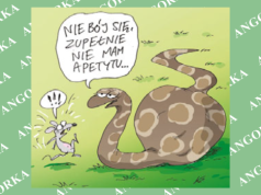 Pytony rozwiążą problem otyłości? Badania są bardzo obiecujące