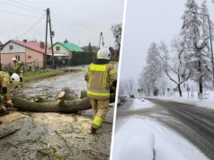 Fala chłodu nad Polską. Silny wiatr spotęguje odczucia. W kilku regionach pojawi się śnieg!