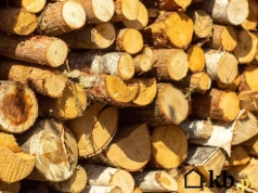 To drewno pali się długo, ale trudno je rozpalić. Wymaga nawet 2 lat suszenia