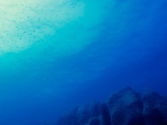 Ukryte procesy w oceanie ujawnione. Wykryto nieznane dotąd sygnały