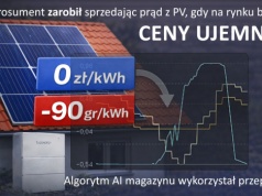 Magazyn zarabiał na sprzedaży prądu po 0 zł. To problem polityczny?