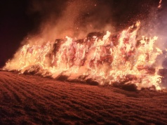 Zniszczyli zapasy dla bydła. 1250 balotów spłonęło w jedną noc