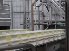 Pierwszy w tym roku spadek notowań na globalnym rynku produktów mleczarskich