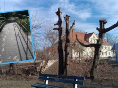 Park czekał na to ponad 70 lat. Będzie nowa fontanna i plac zabaw