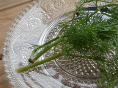 Przechowuj tak koperek. Przedłużysz jego świeżość o kilka tygodni