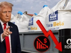 Ceny nawozów 08.04: Jakie są ceny nawozów na początku kwietnia?